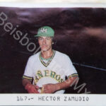 Héctor Zamudio