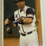 Lote Tarjetas LMB 2005