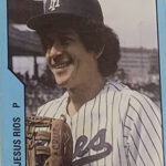 Tigres Mexico 1985 Lote